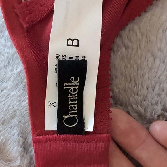 NWOT CHANTELLE BRA 34B - Picture 8 of 11